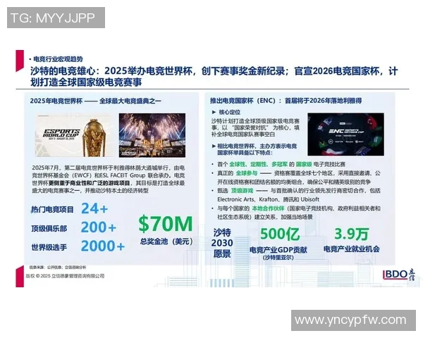 电竞赛事数据统计分析与趋势预测助力游戏行业发展新机遇