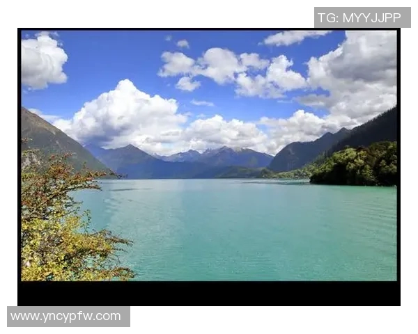 探寻Xin清兵背后的历史真相与文化影响力 探寻Xin清兵背后的历史真相与文化影响力