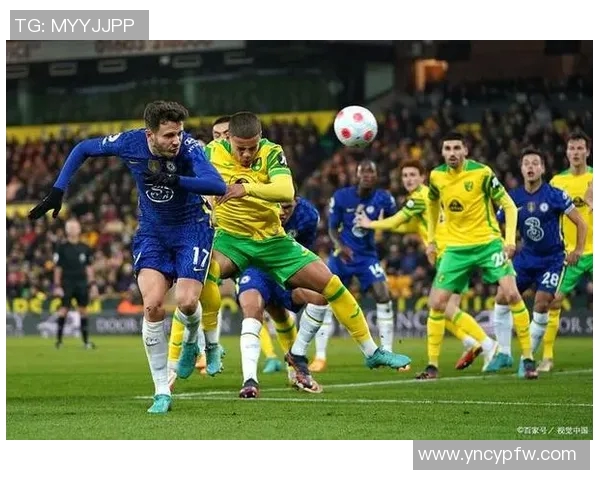 沙尔克04主场遭遇惨败,霍芬海姆大胜对手展现绝对实力 沙尔克04主场遭遇惨败,霍芬海姆大胜对手展现绝对实力